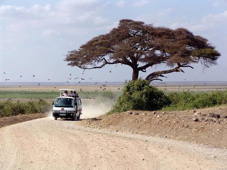 kenya 01
