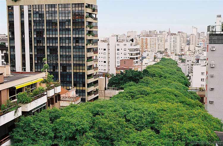 Rua Gonçalo de Carvalho 02