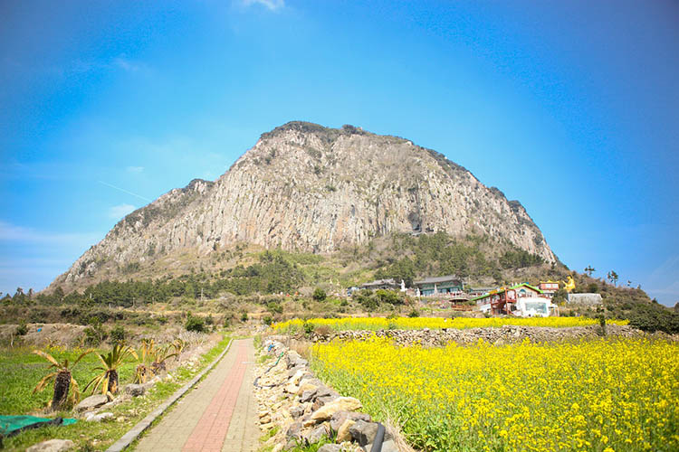 jeju island 01