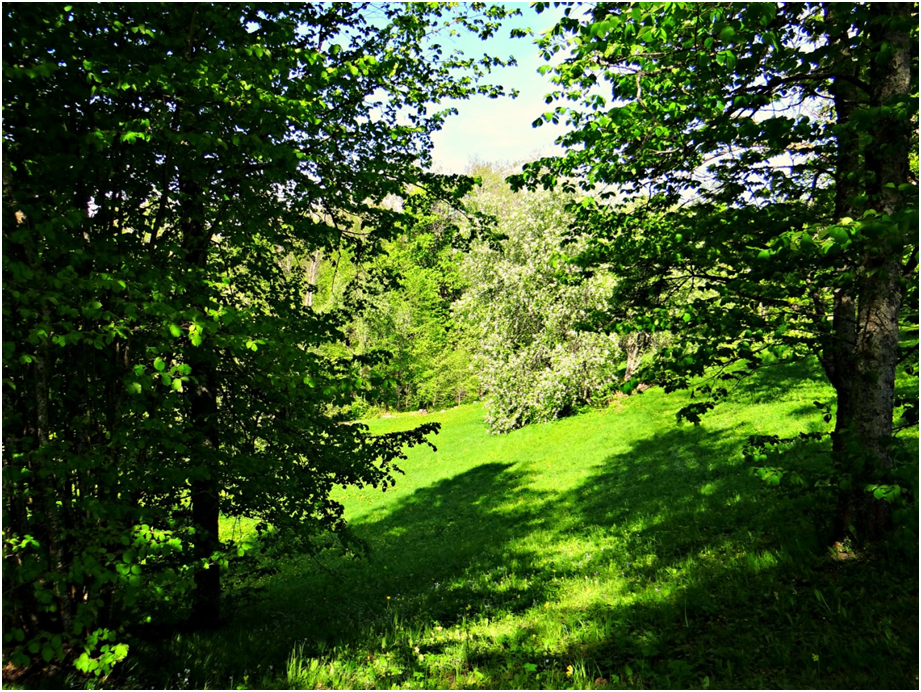 gajuda nemzeti park