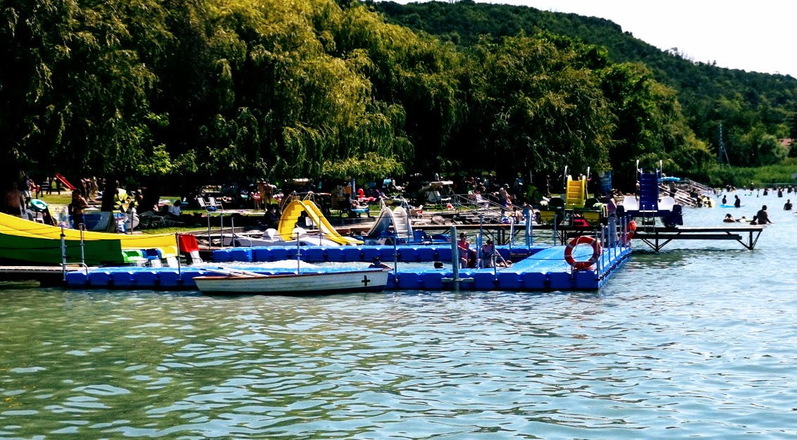 fűzfő strand