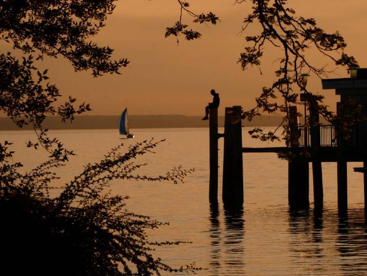 bodensee steg