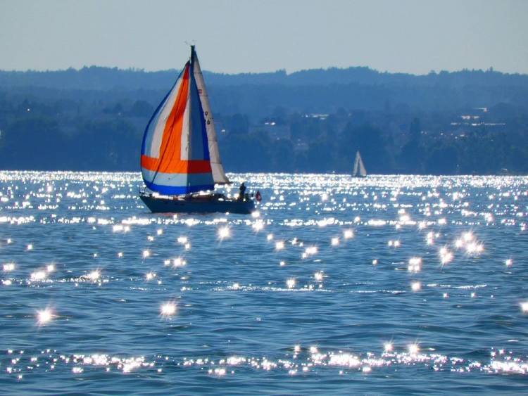 bodensee vitorlás