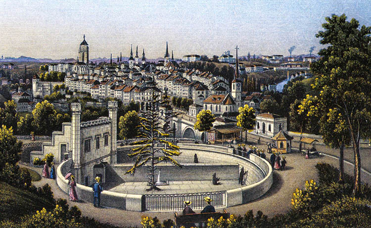 medvepark bern