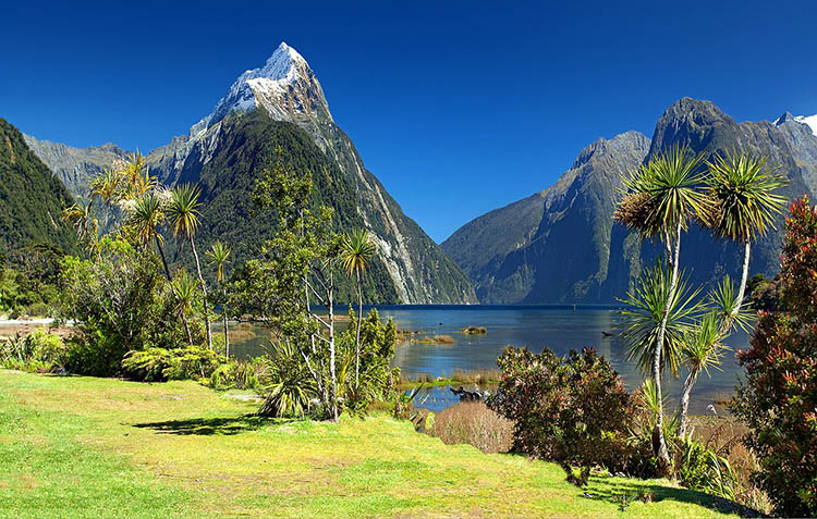 uj zeland amit latni kell 01